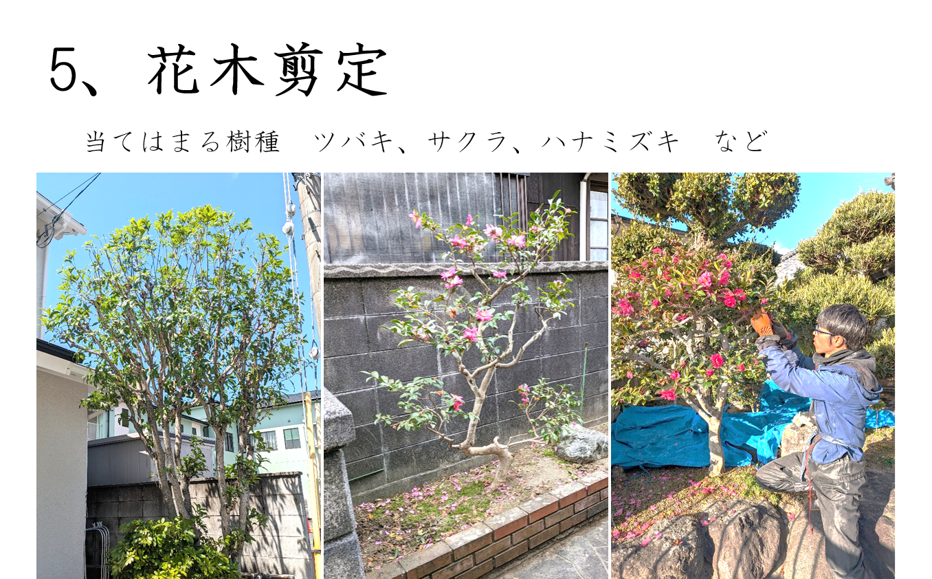 花木剪定作業の様子