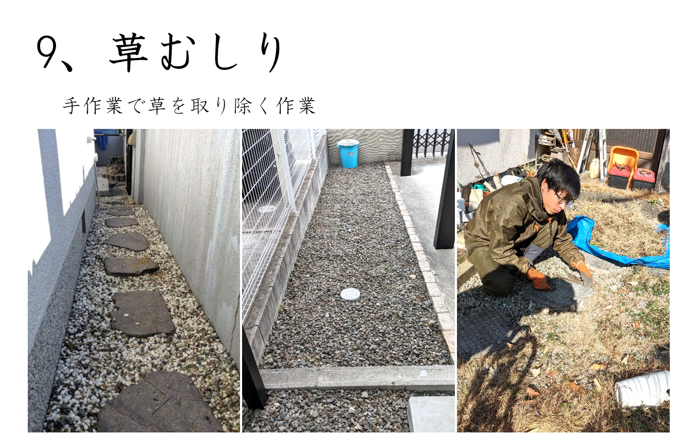 草むしり作業の様子
