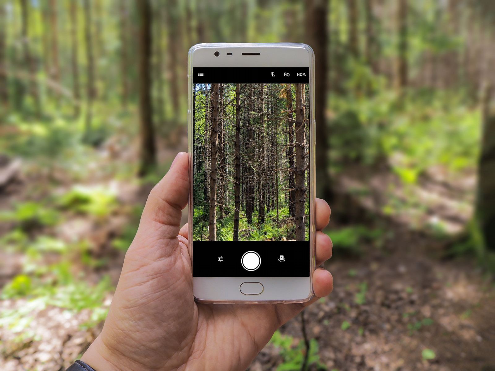 スマホで写真を撮って送るイメージ