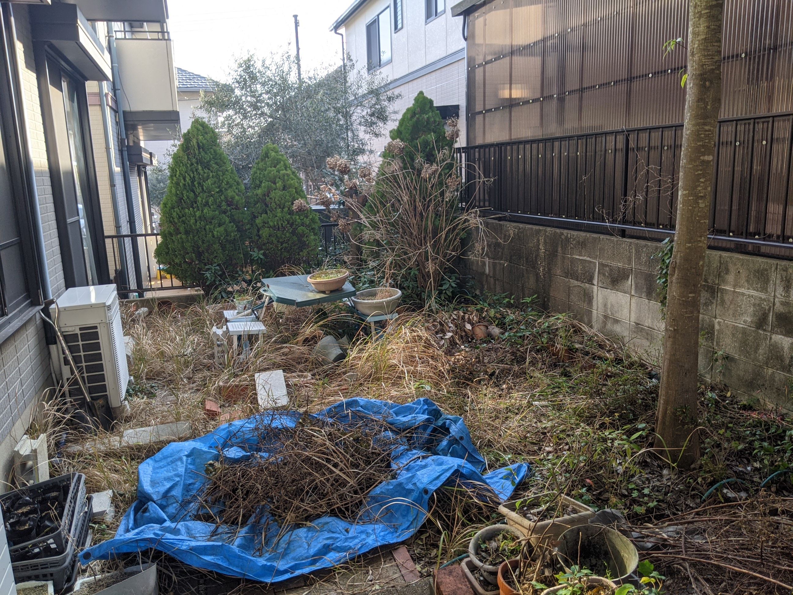 大阪府阪南市 カシ伐採、ツツジ抜根、草刈り