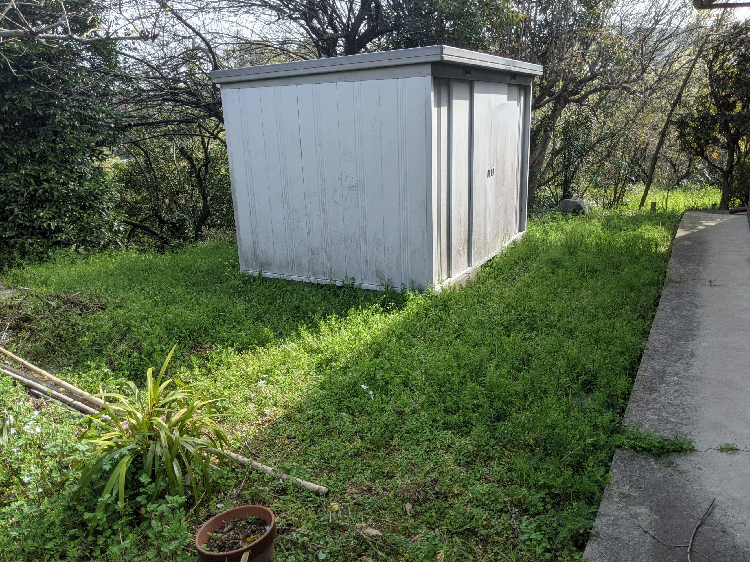 大阪府岸和田市 草刈り 150㎡