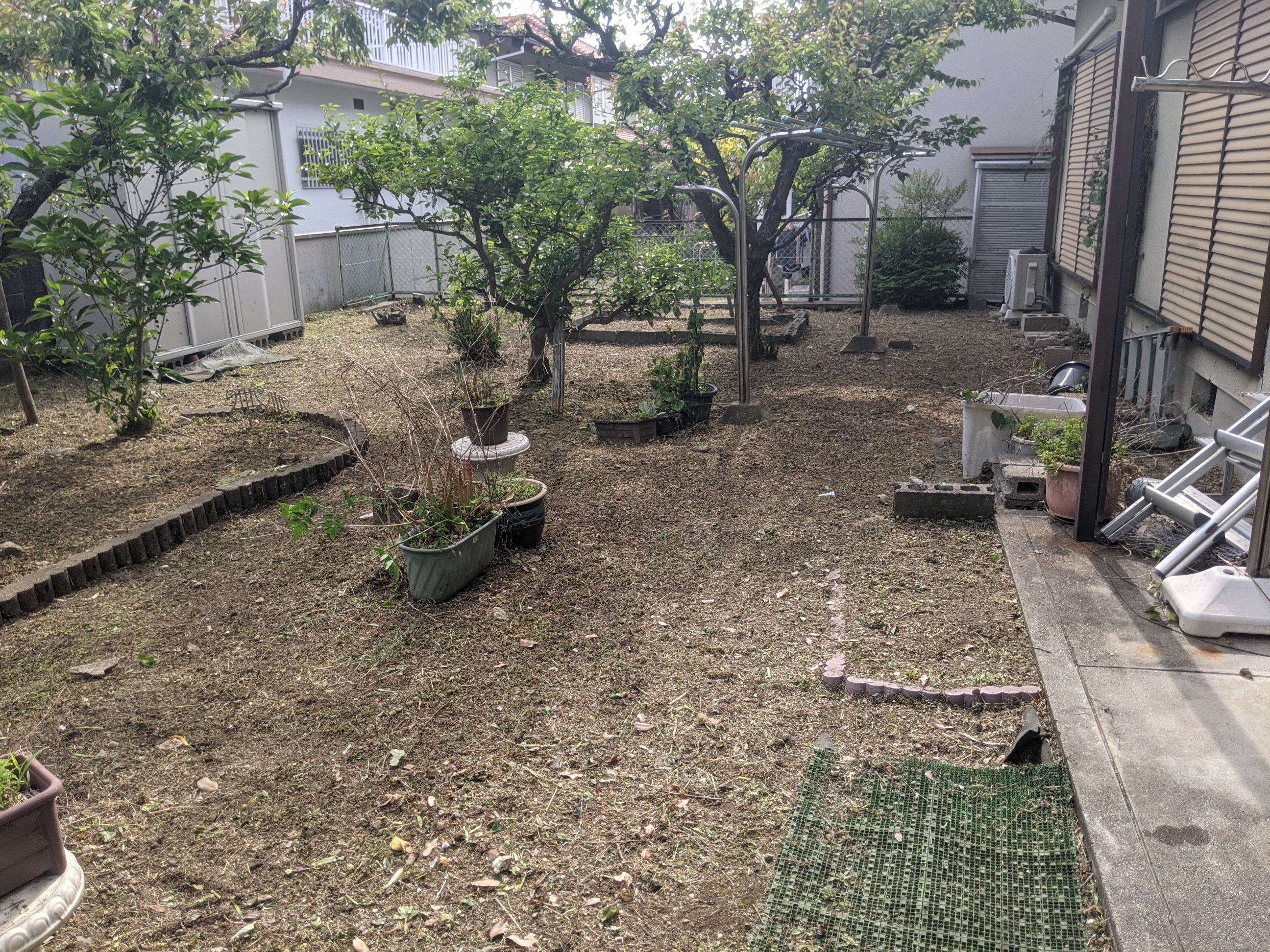 大阪府堺市 草刈り 100㎡