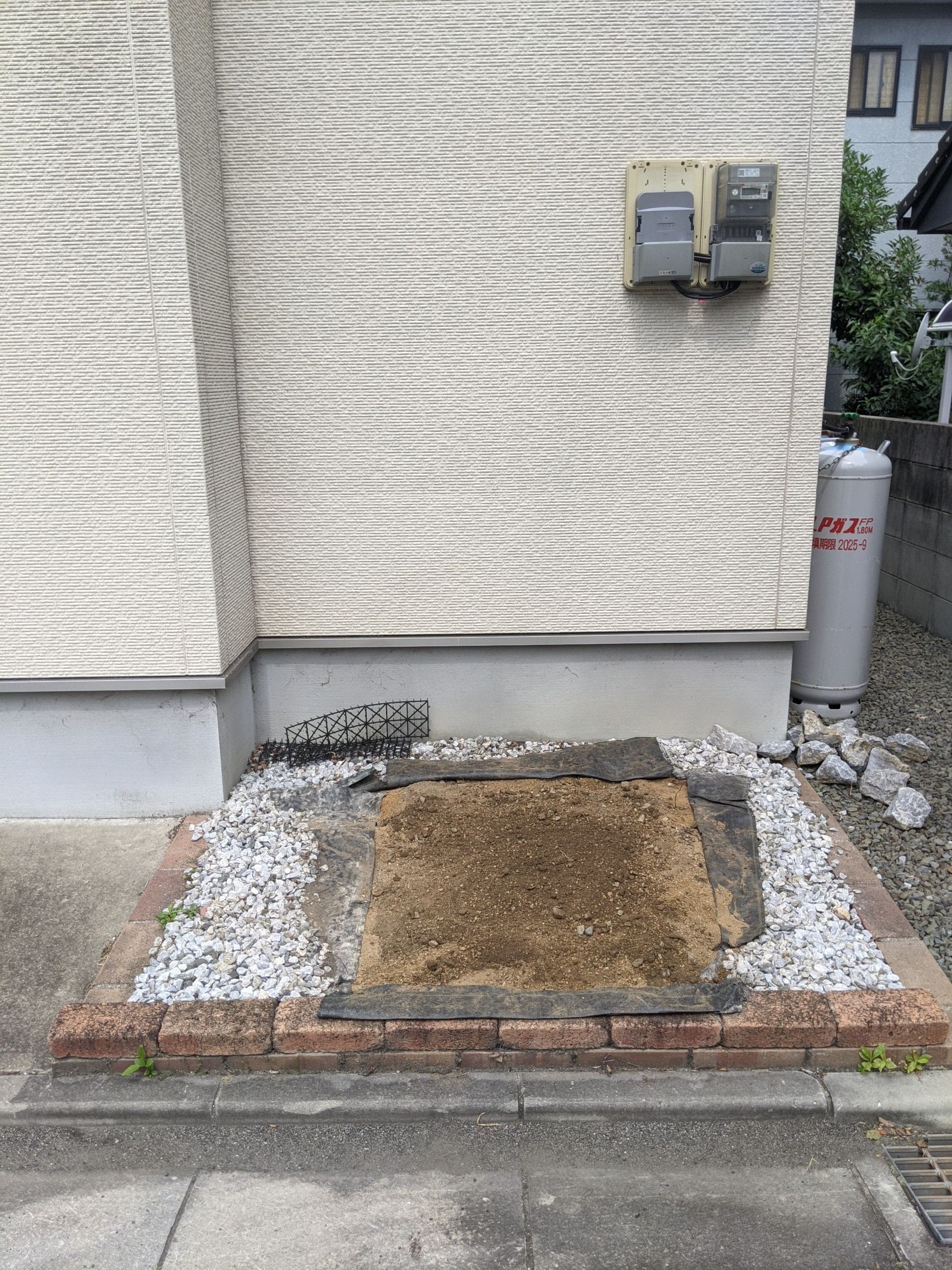  和歌山県和歌山県 抜根 シマトネリコ
