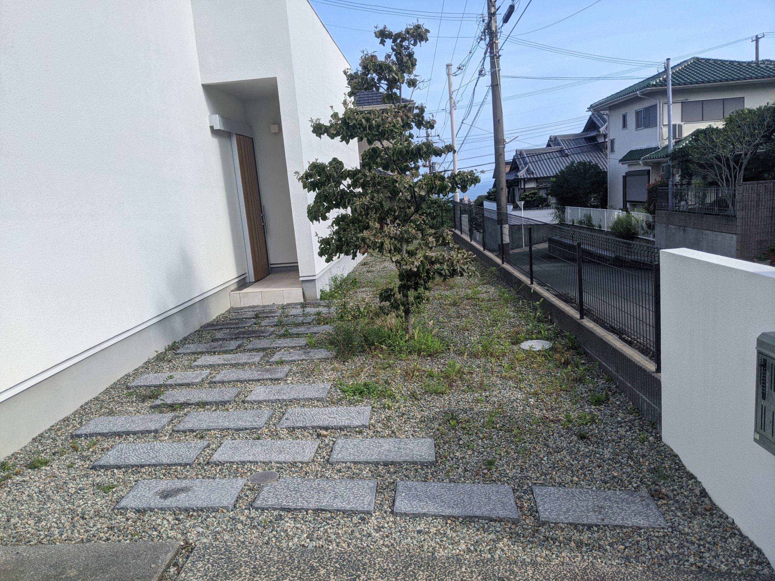 大阪府阪南市 草むしり、草刈り、剪定 50㎡、ハナミズキ、ユキヤナギ 令和3年7月20日〜7月22日