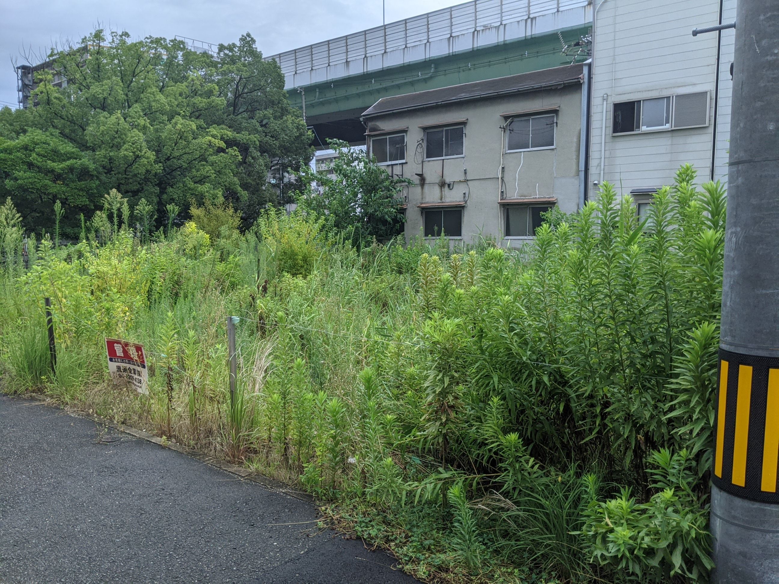 大阪府大阪市 草刈り 120㎡ 令和3年8月14日、9月1 日