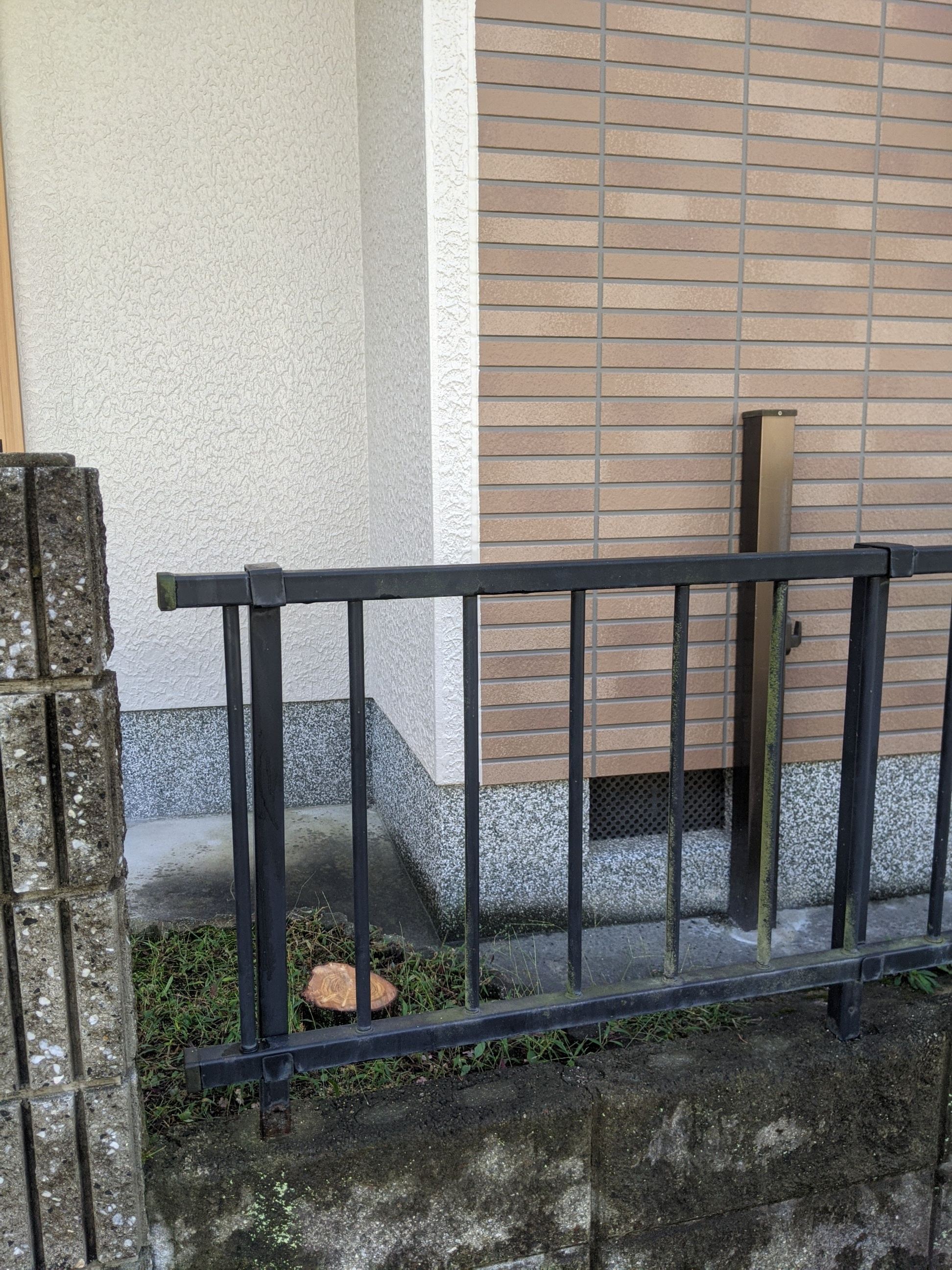 大阪府岸和田市 伐採 マキ、キンモクセイ2本、シマトネリコ、植木 令和3年10月17日