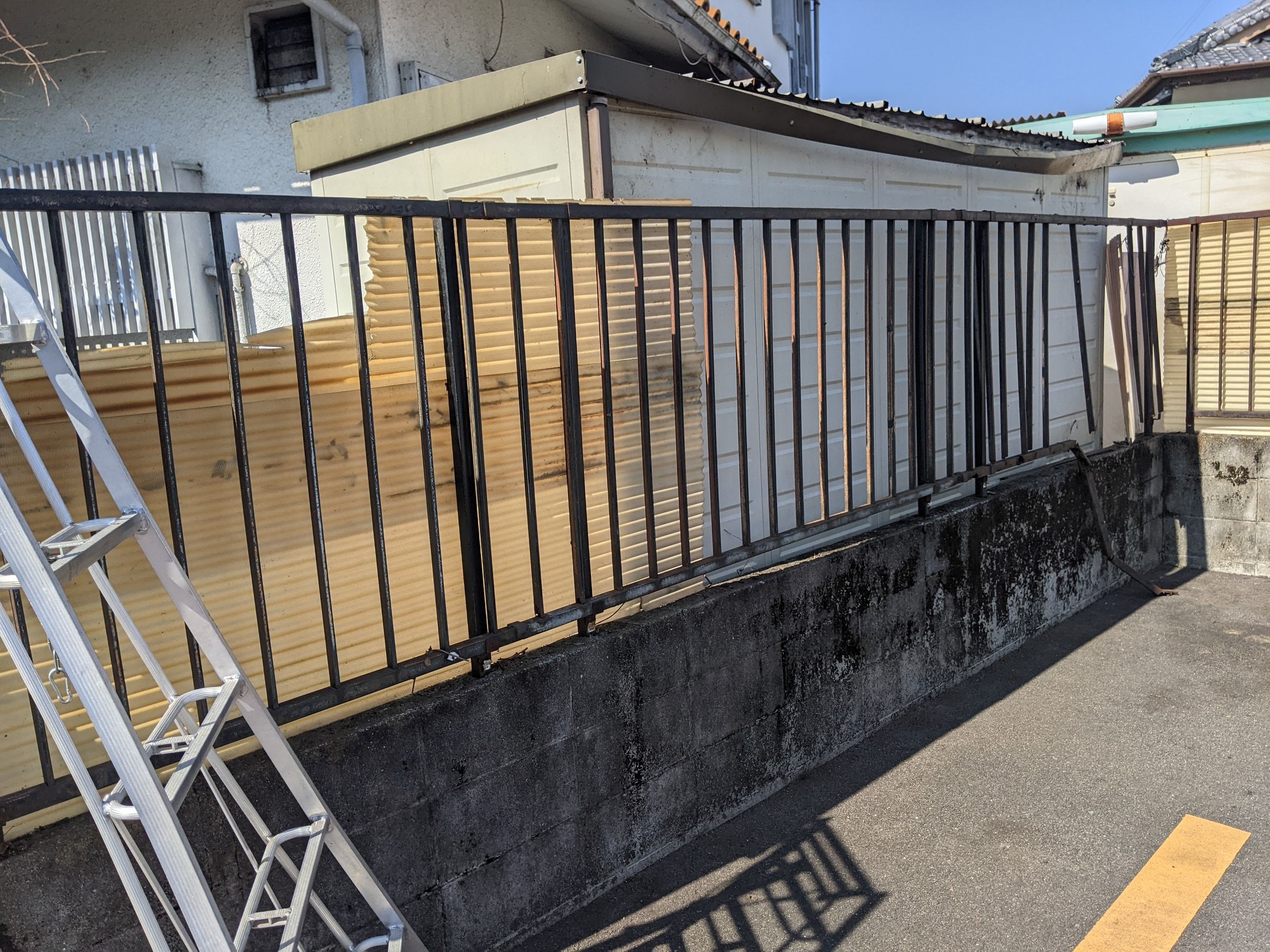 大阪府岸和田市 ツタ取り、伐採 植木2本 令和4年2月26日
