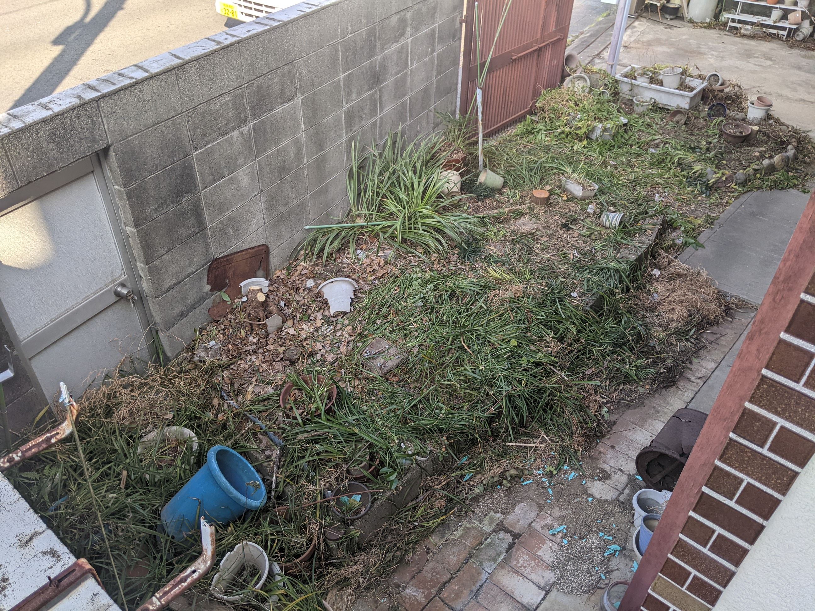  和歌山県 伐採 マキ、ナンテン、クヌギ、アロエ、ツバキ、ツツジなど 令和4年2月27日