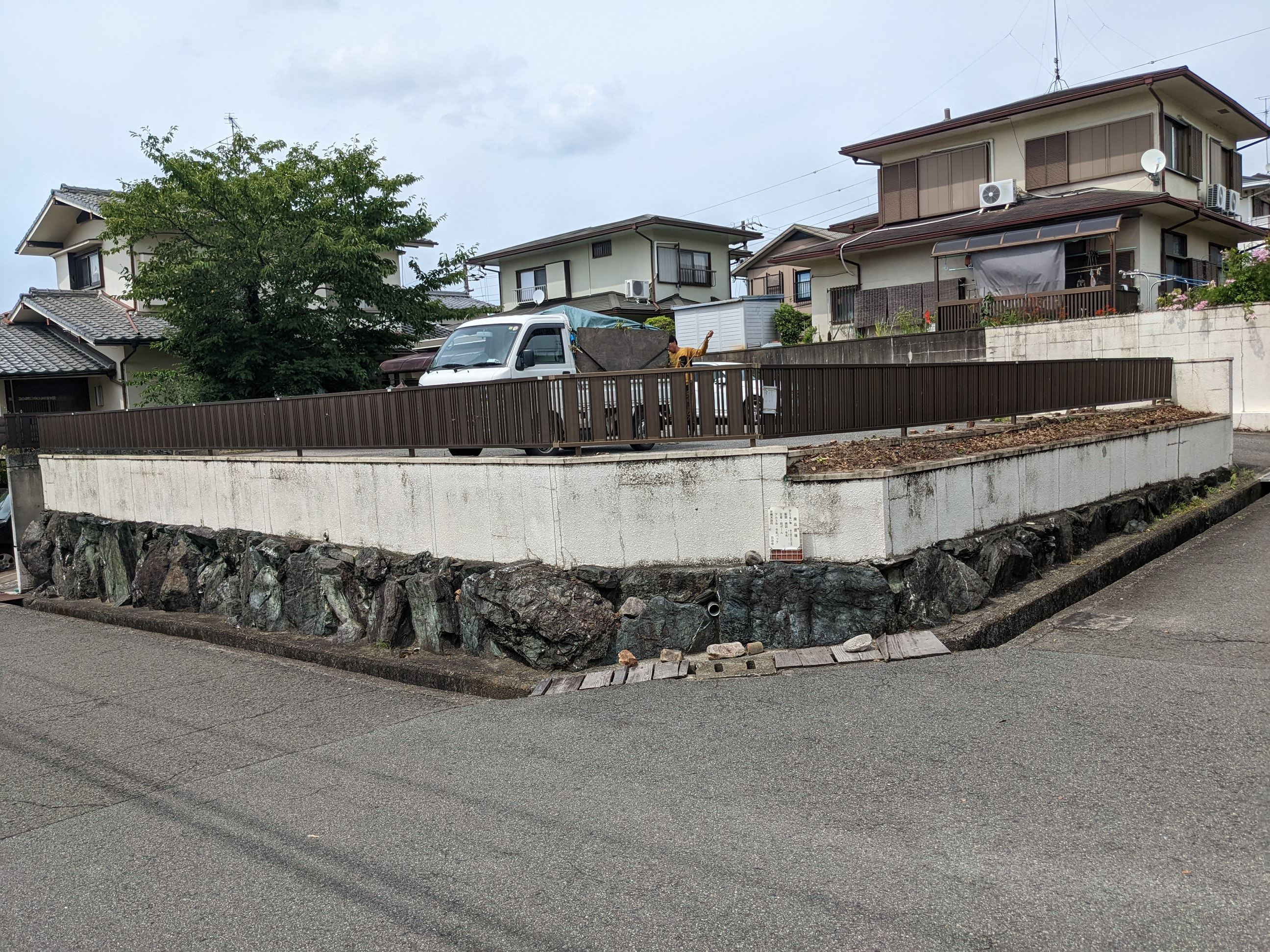 大阪府泉南市 伐採、草刈り バベの木×50本、サツキ×12本 令和4年 7月 11日、12日