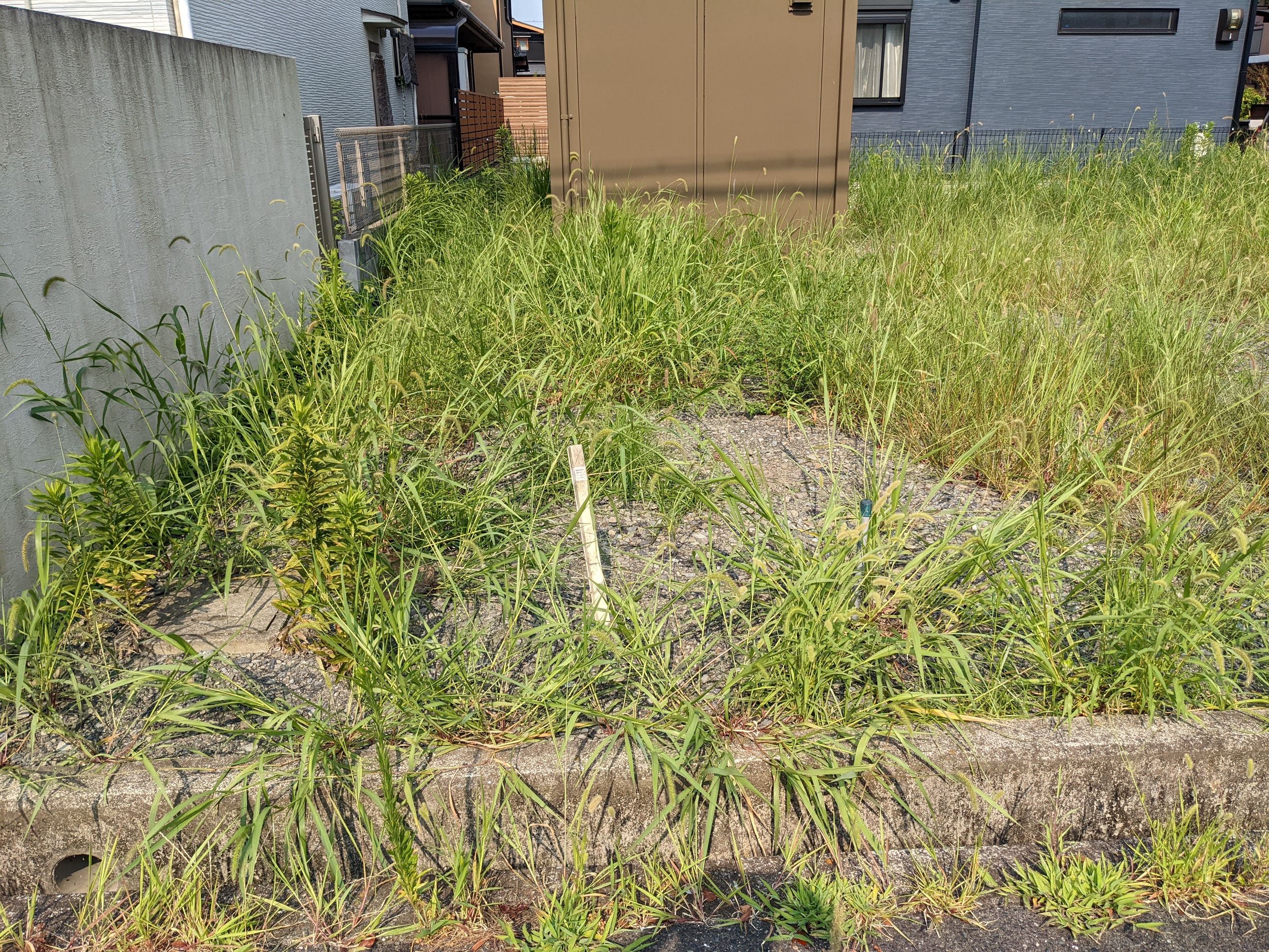 大阪府泉南市 草刈り、除草剤80㎡ 令和4年 7月 27日