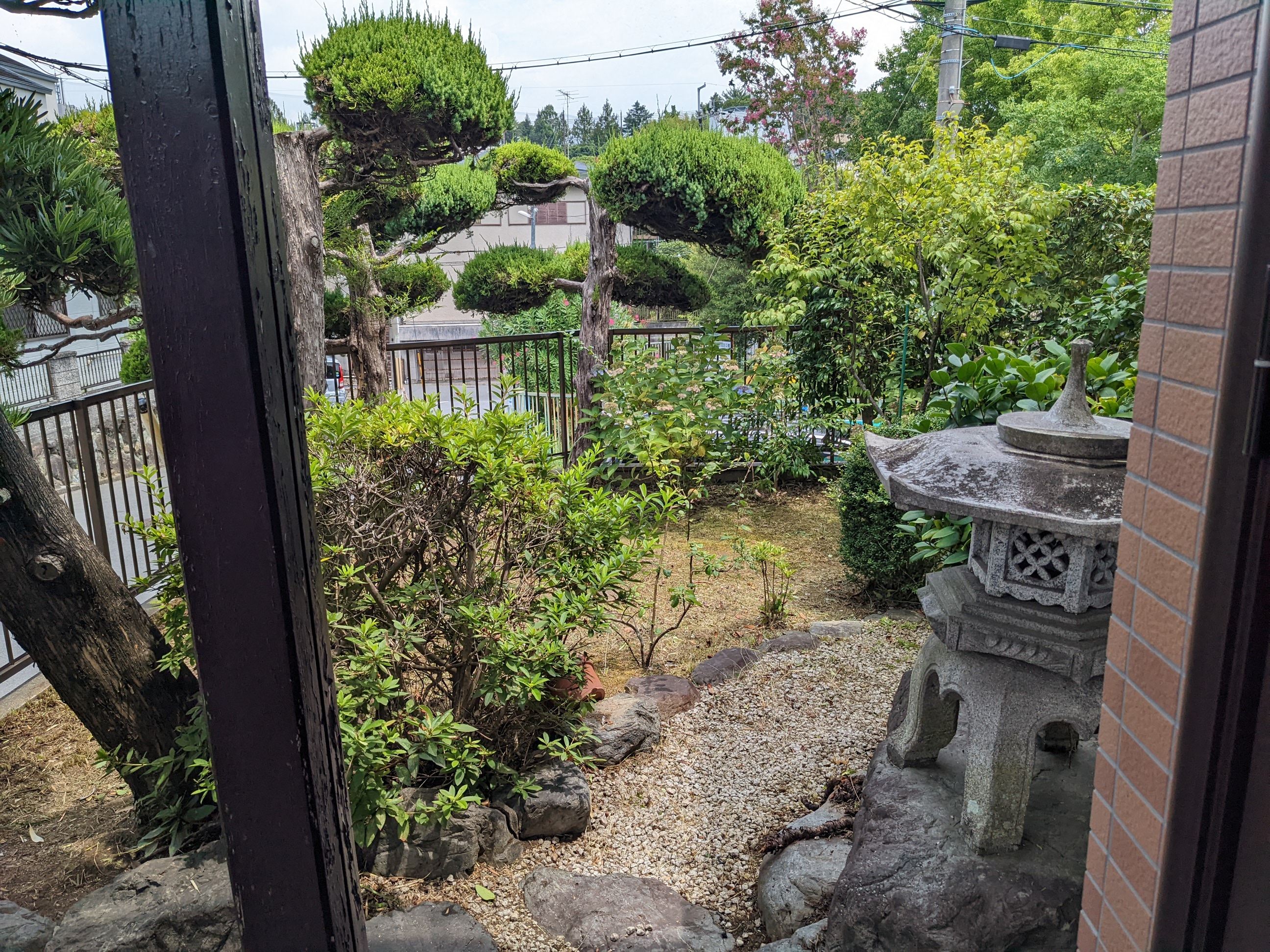 奈良県奈良市 草刈り、除草剤 60㎡ 令和4年 8月6日