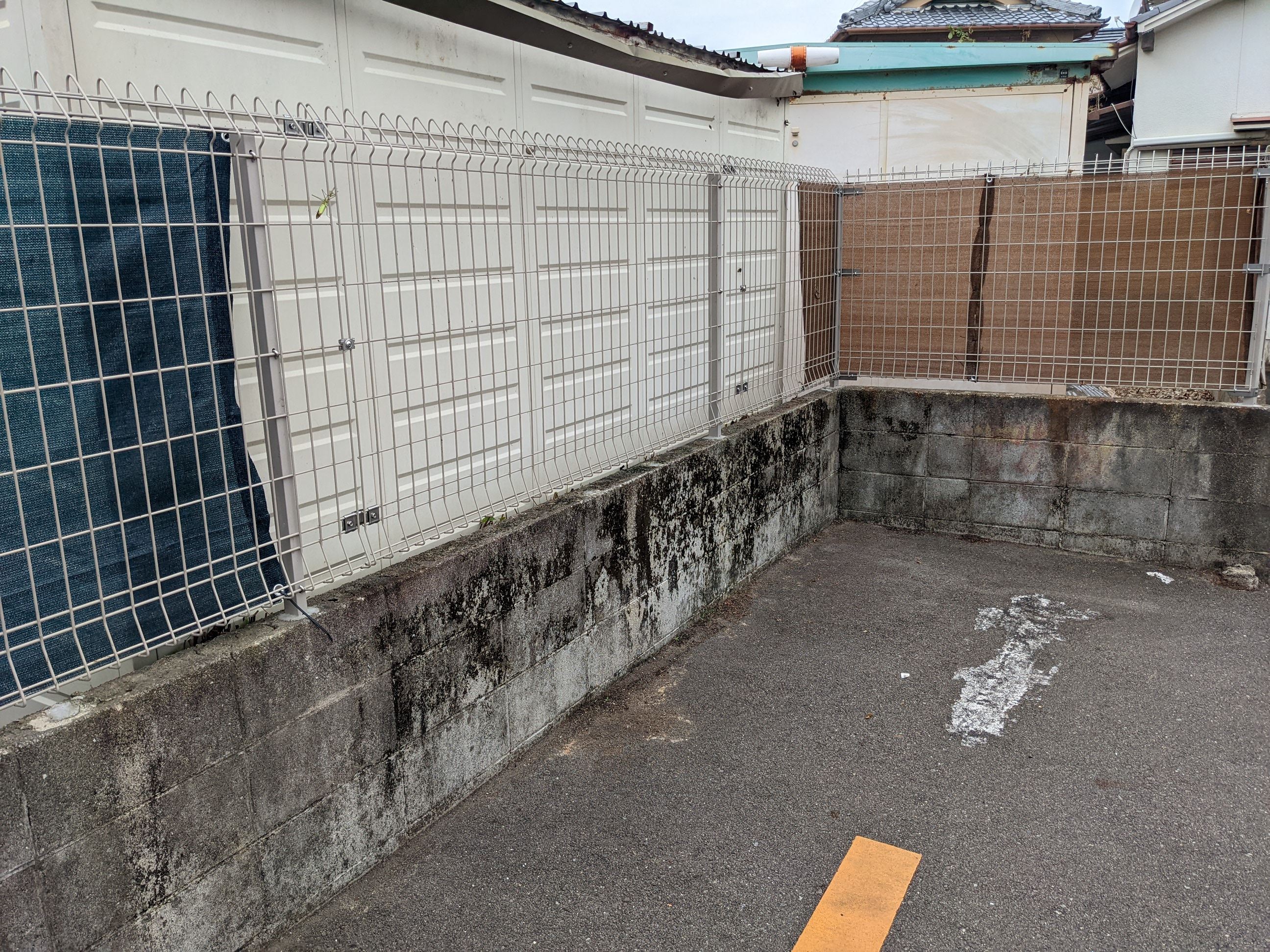 大阪府岸和田市 ツタ取り10㎡ 令和4年 8月 24日