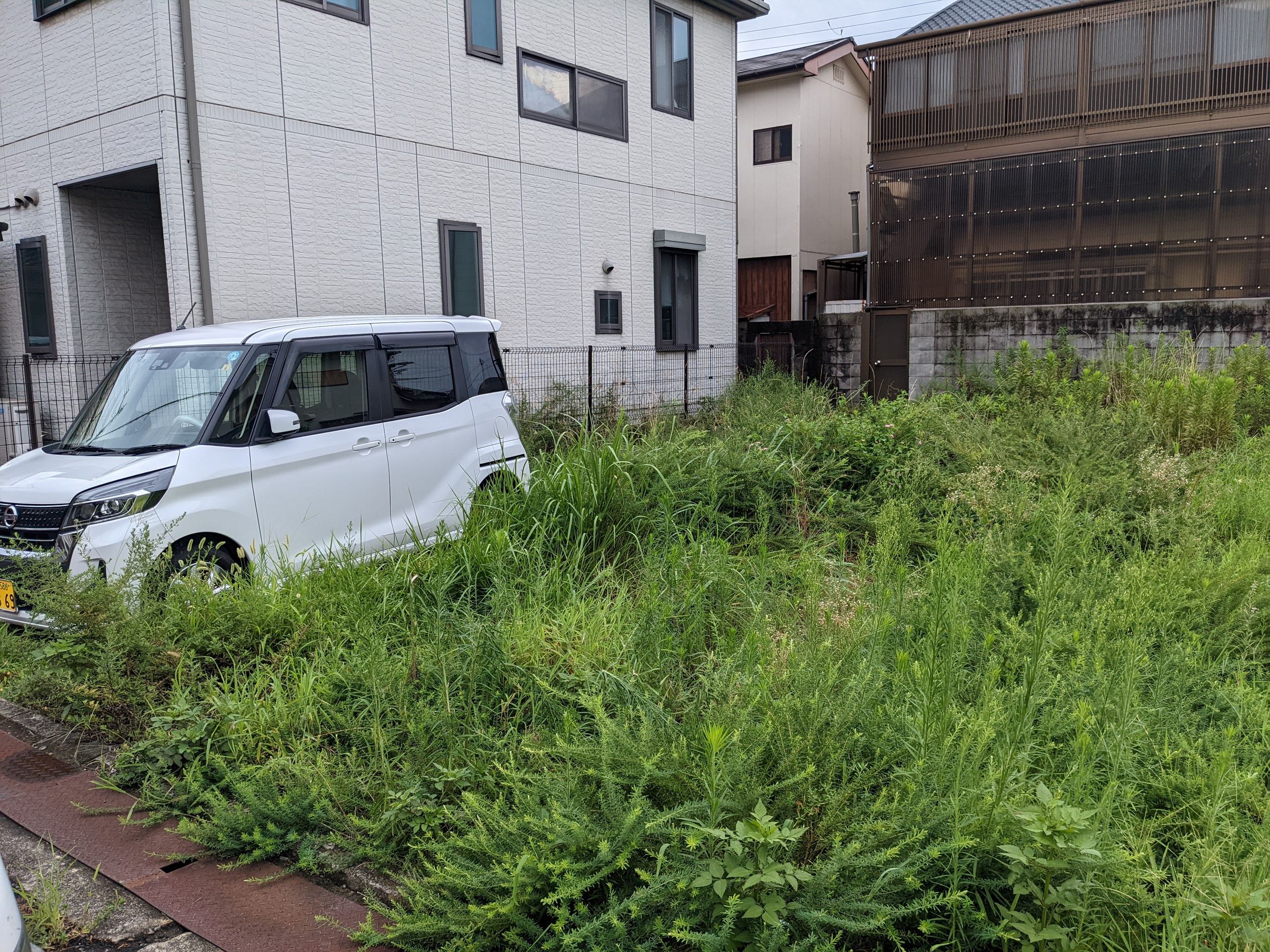 和歌山県和歌山市 草刈り80 ㎡ 令和4年 8月27日午前
