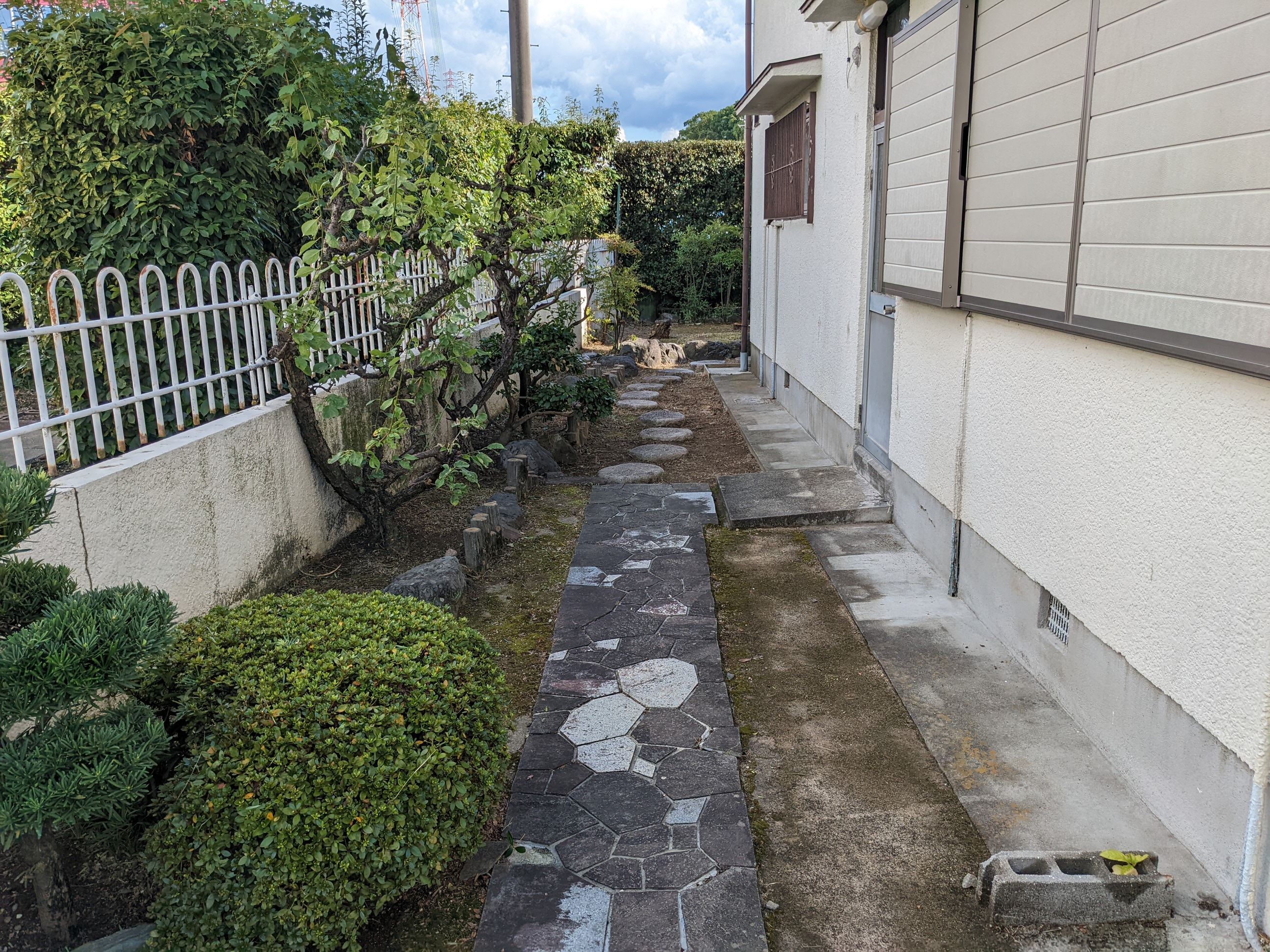 大阪府泉佐野市 剪定、伐採、刈込み、草刈り、草むしり、除草剤 ウメ、オリーブ、アオキ、シュロ、ウバメガシ、ツゲ、70㎡ 令和4年 9月1日、2日