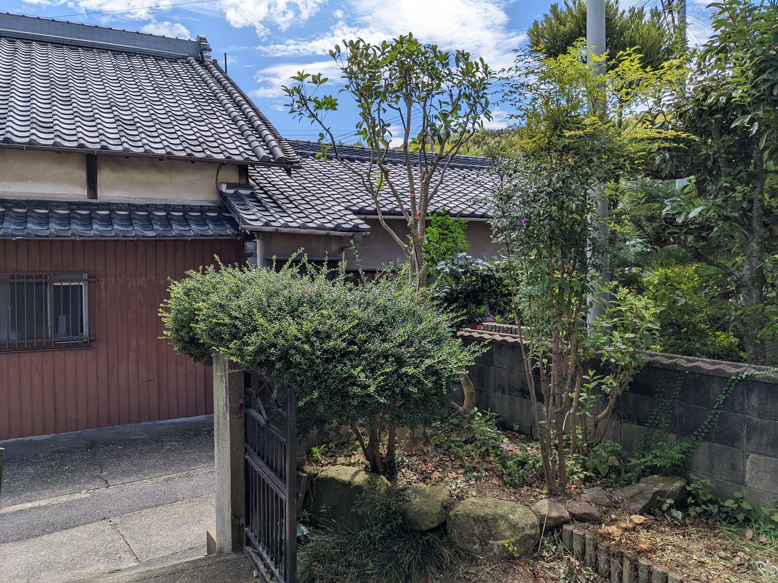 大阪府泉南郡 剪定、伐採、草むしり キンモクセイ、ヒイラギ、サルスベリ、アロエ、バラン、1㎡ 令和4年 9月3日