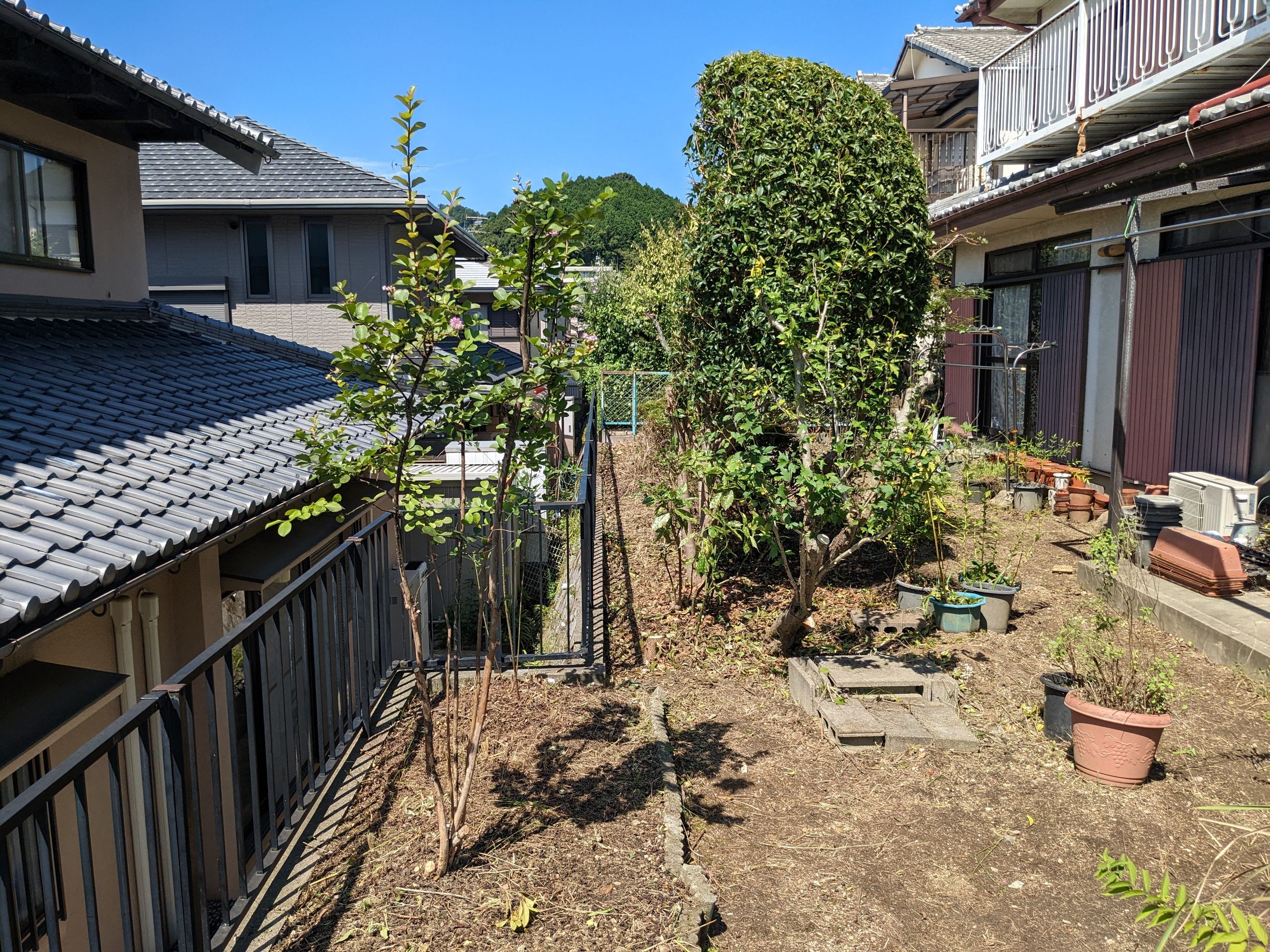 奈良県生駒郡 伐採15 本、剪定12本 ナンテン、ヒイラギ、ヤツデ、アジサイ、ムクゲ、ツバキ、ツツジ、カエデ、ウメ、サルスベリ、キンモクセイ、アオキ、イチョウ 令和4年 9月 12日