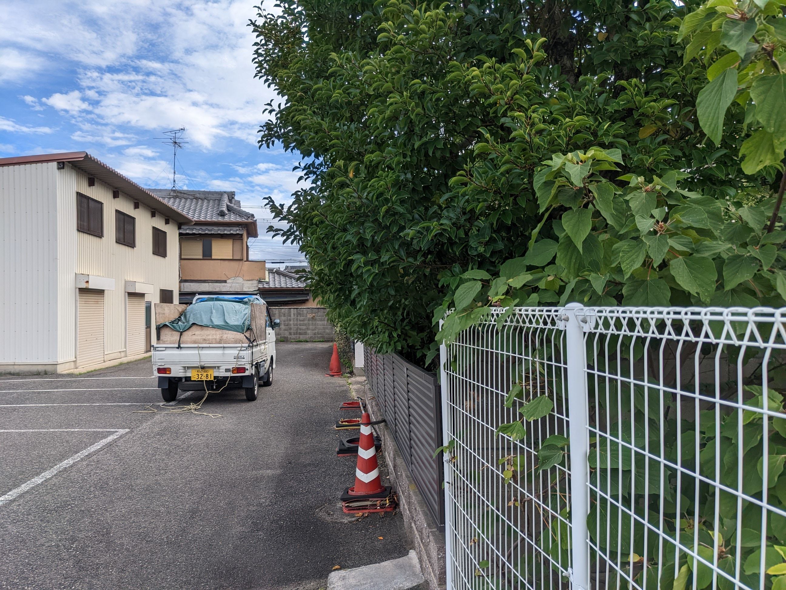 大阪府岸和田市 刈込み 柵ぞい 令和4年 9月17日