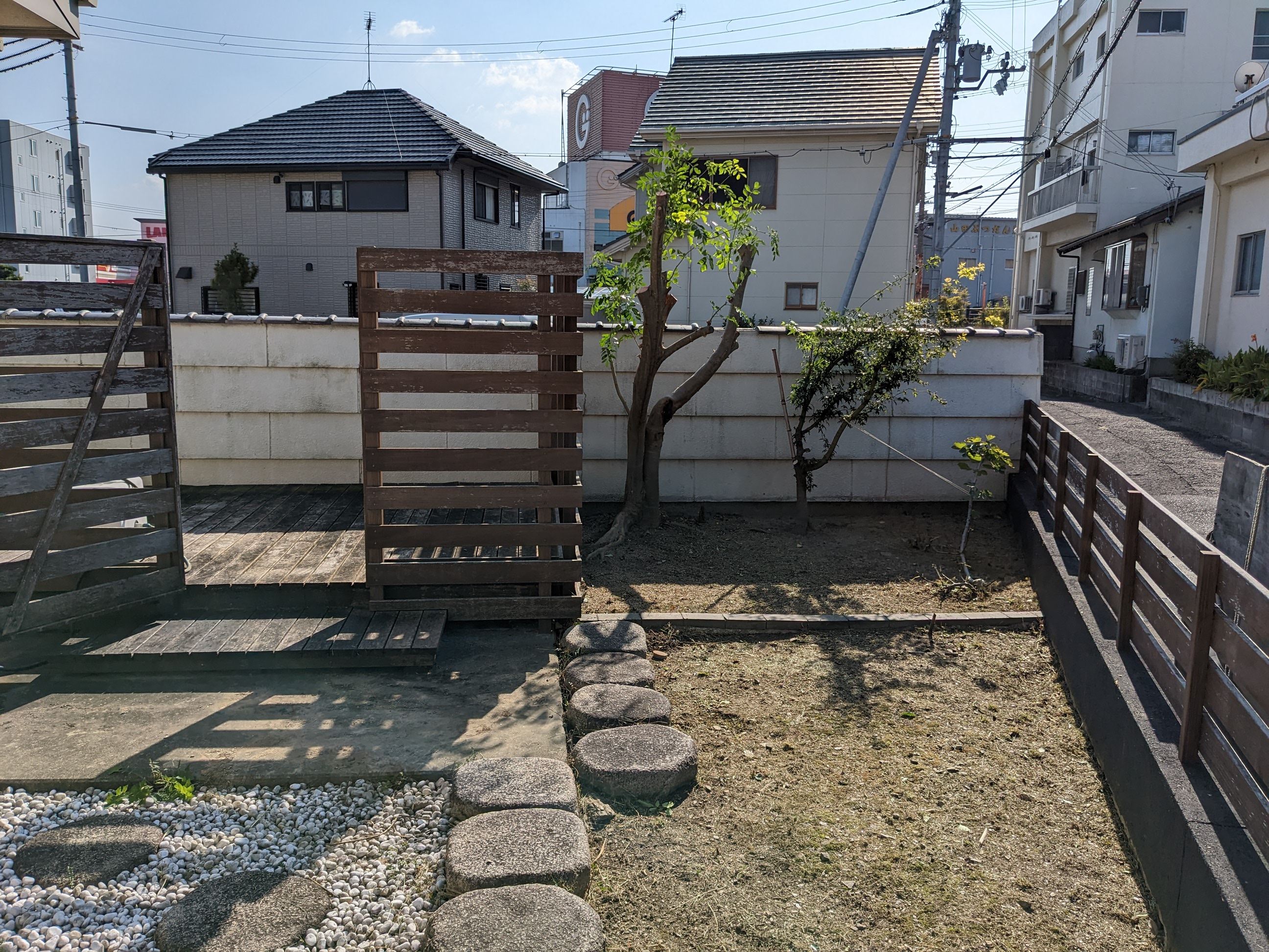 和歌山県和歌山市 剪定、草むしり シマトネリコ、松、5㎡ 令和4年 11月4日