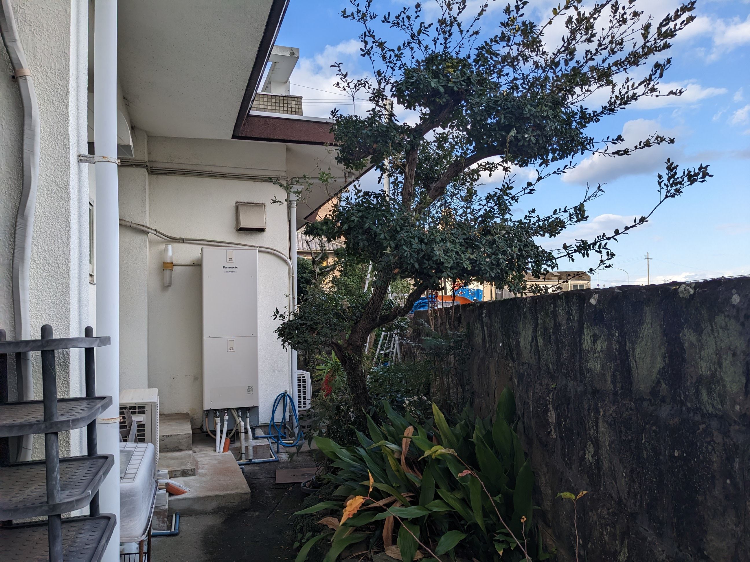和歌山県和歌山市 剪定20本、草むしり12㎡ （マツなど）
