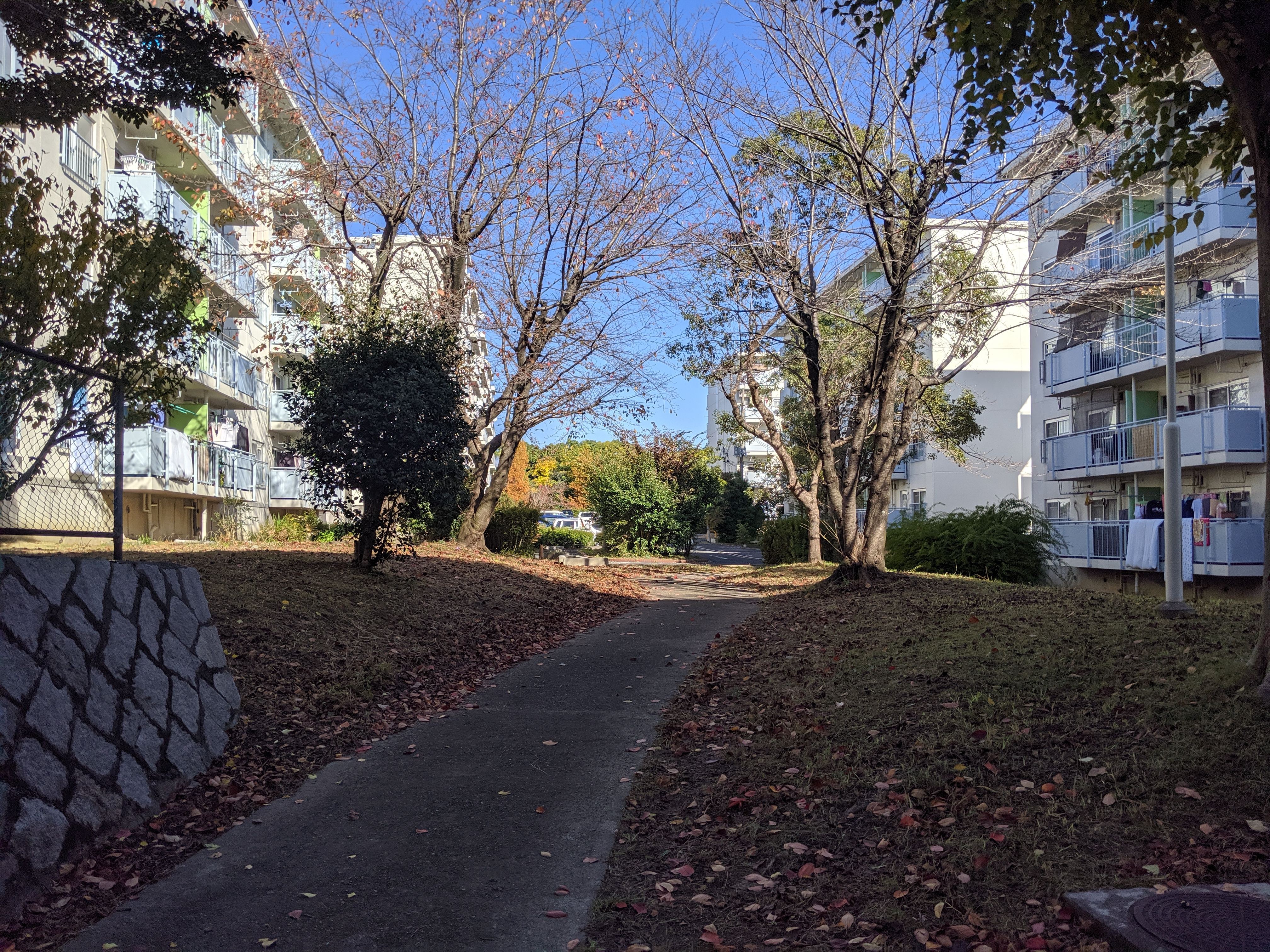 大阪府堺市 住宅 草刈り 11841㎡無事完了させていただきました！