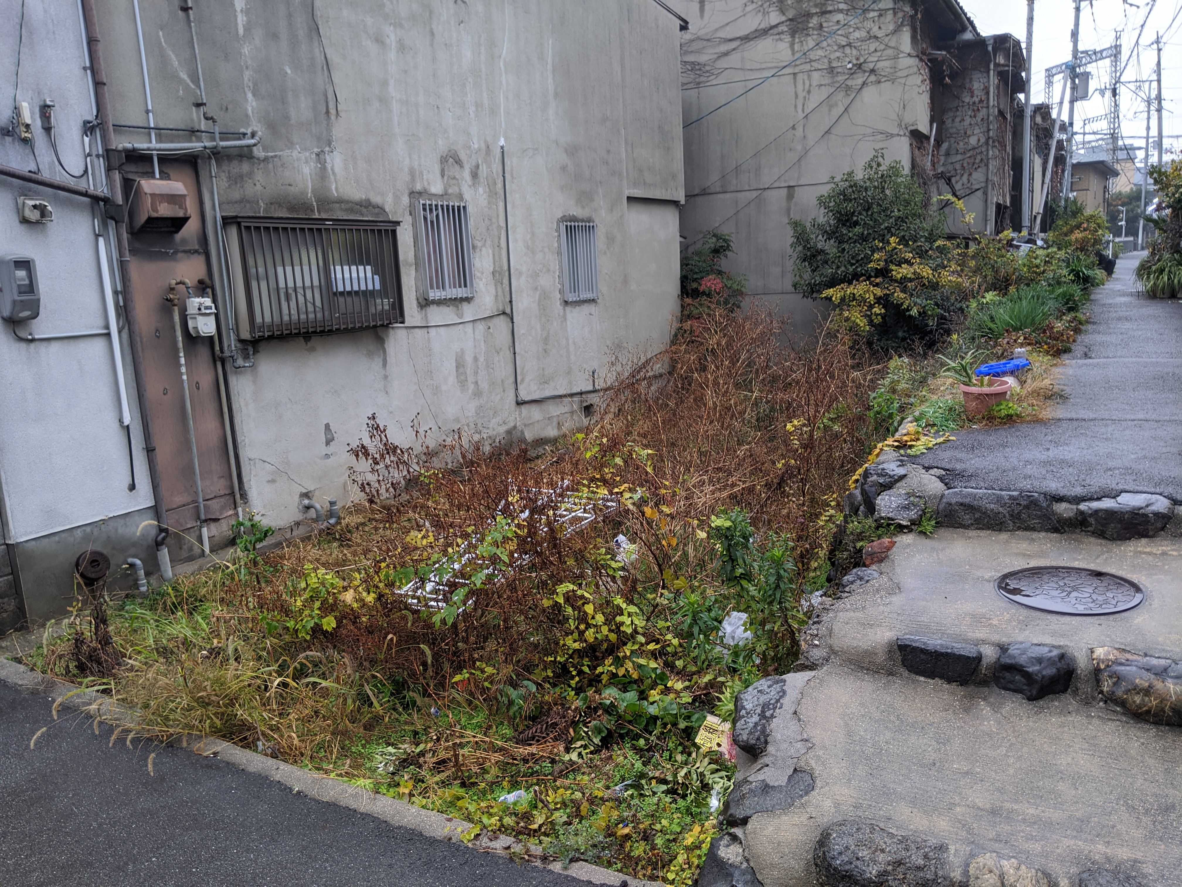  大阪府 東大阪市 草刈り・伐採・ツタ取り、させて頂きました！