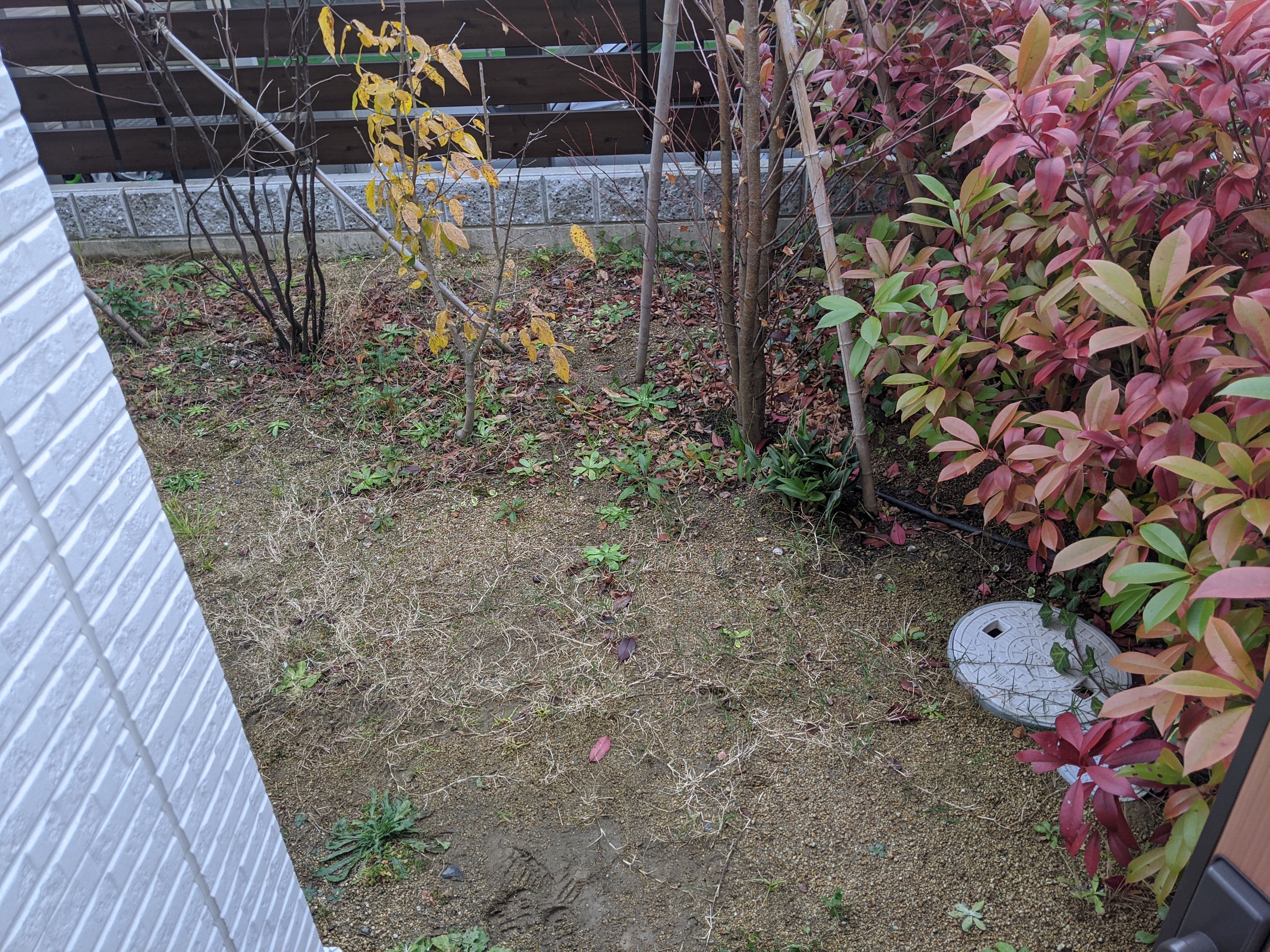 奈良県奈良市 草むし・草刈り をさせていただきました！