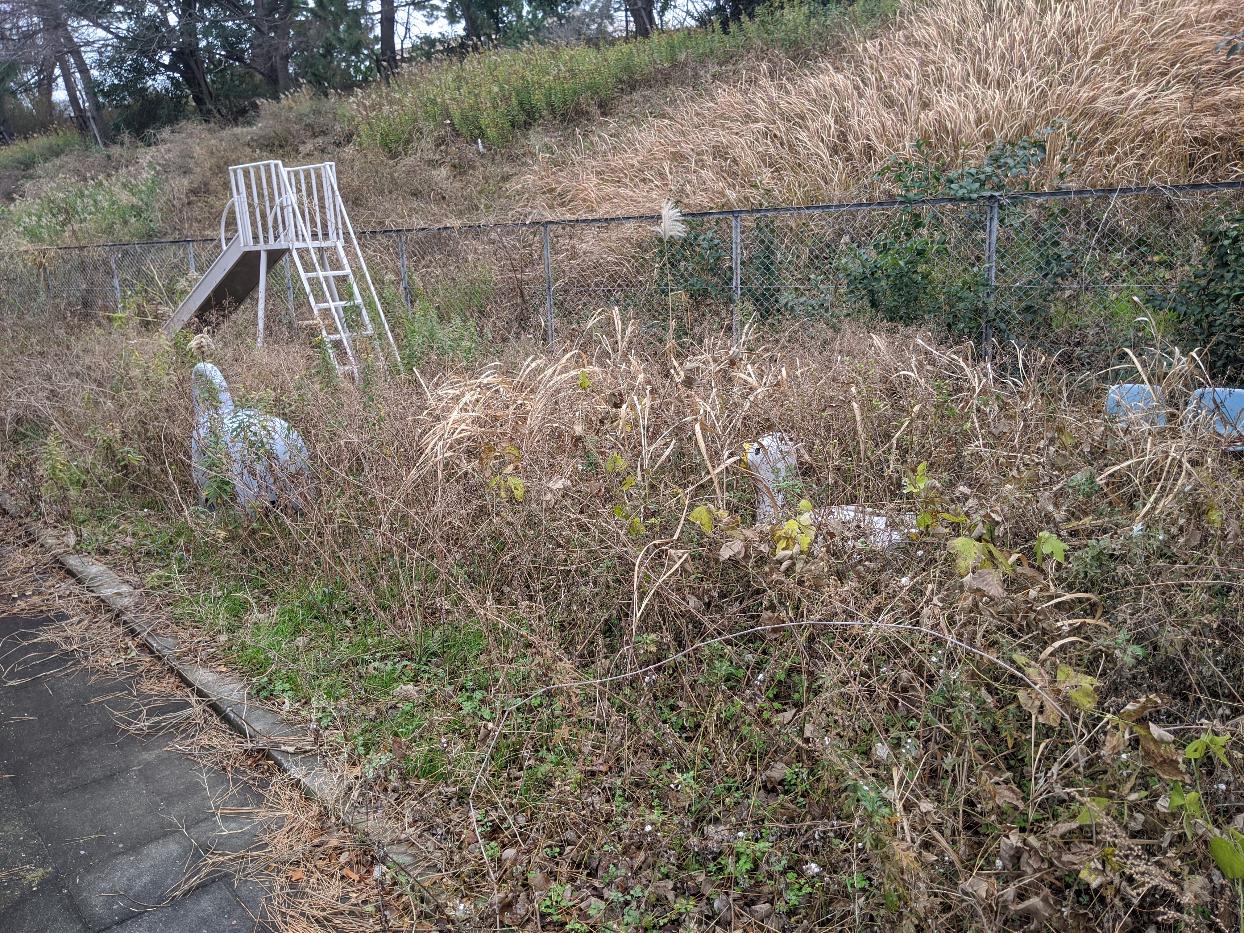 大阪府豊中市 草刈り