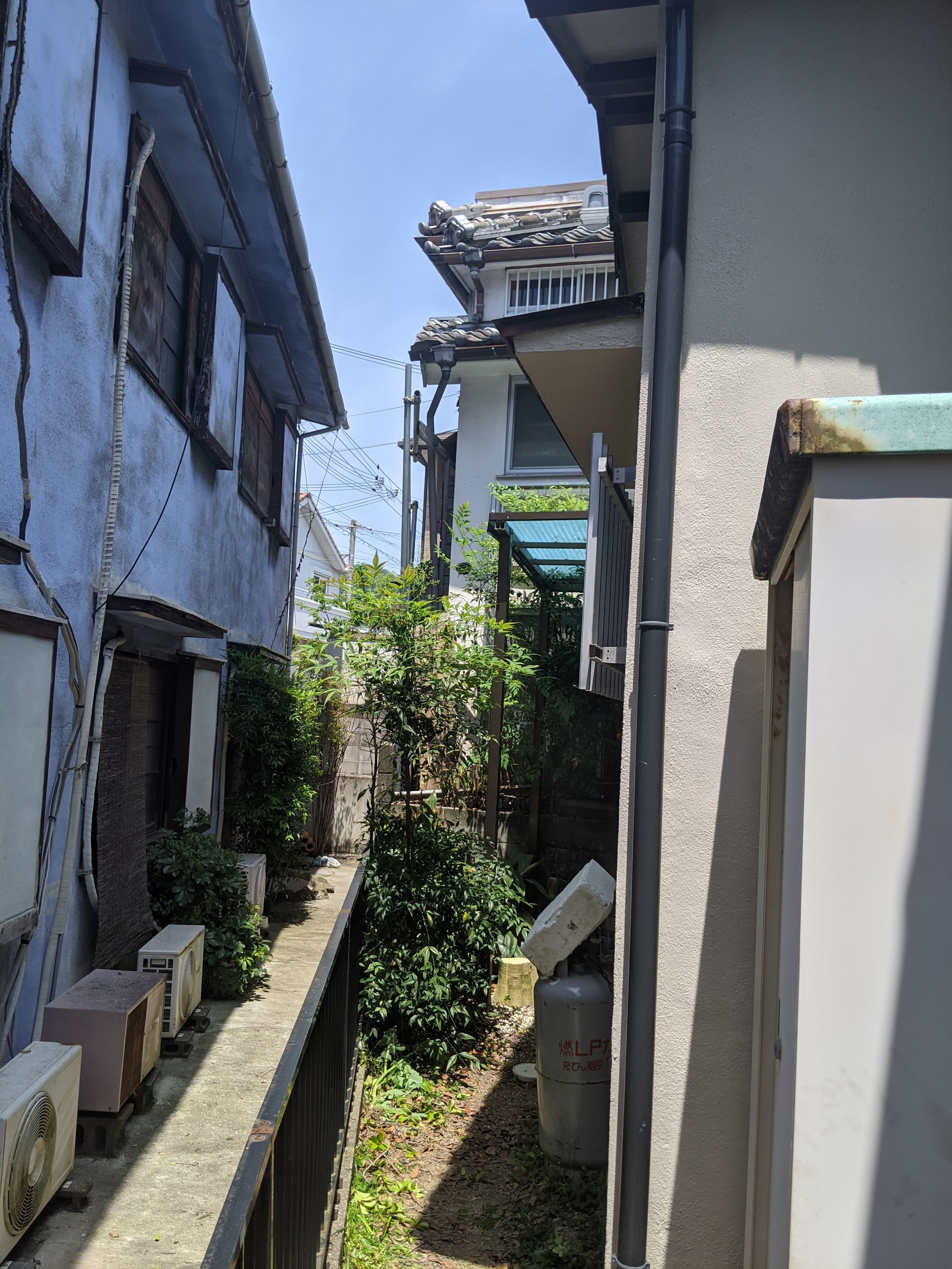 和歌山県和歌山市 雑木7ｍ 伐採