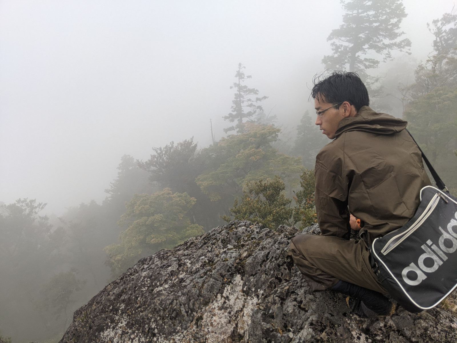 霧の山